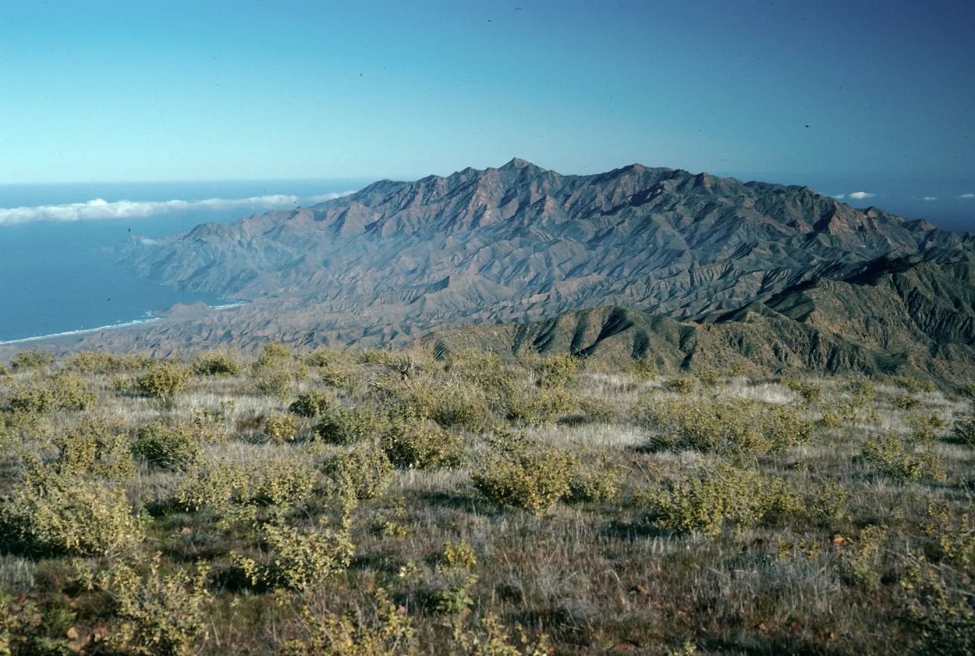 Cedros Island