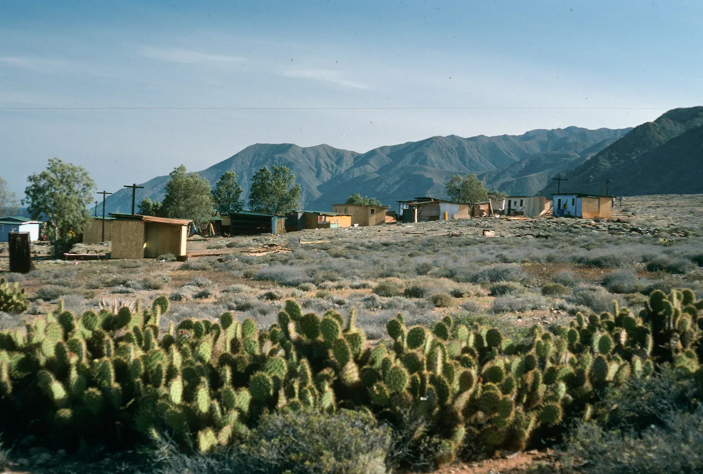 Cedros Island, Campo Punta Norte