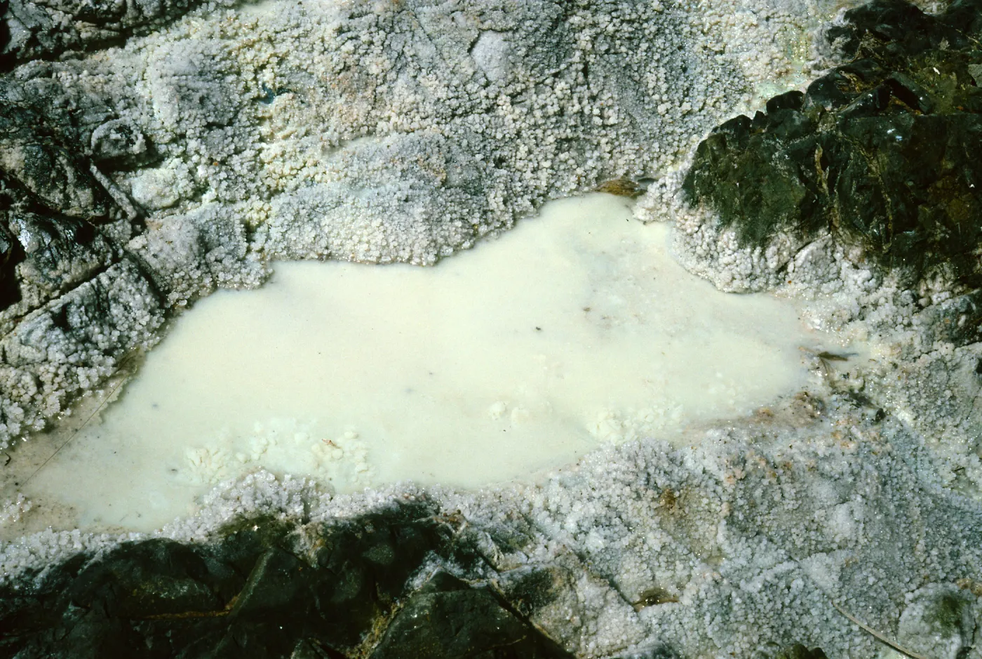 Cedros Island, crystals in creek, Canada de la Mina