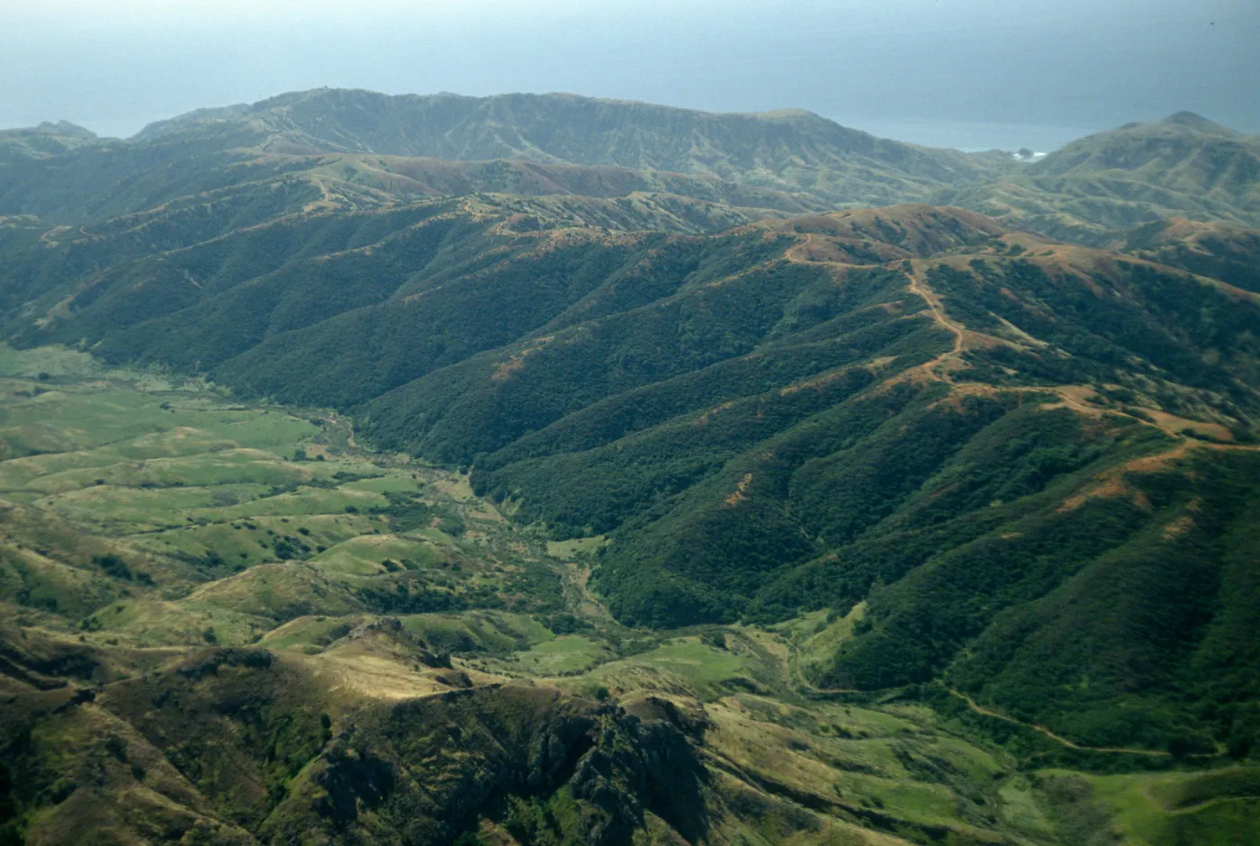 Santa Cruz Island, Chaparral, Central Valley