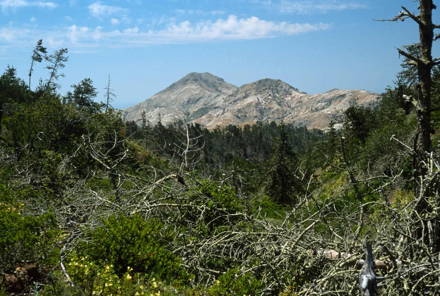Santa Cruz Island, Christy Pines, view of Sierra Blanca