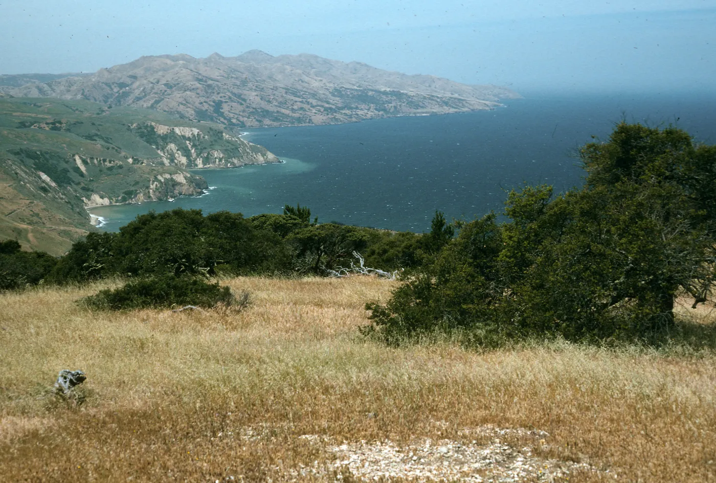 Santa Cruz Island, looking West from East end of China Pines