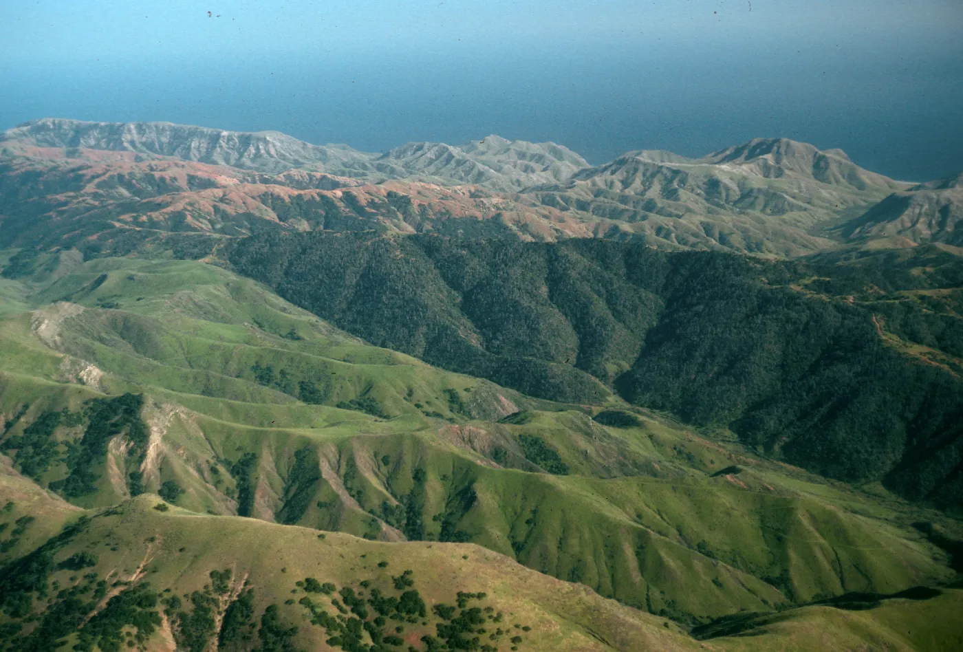 Santa Cruz Island, Christy Pines