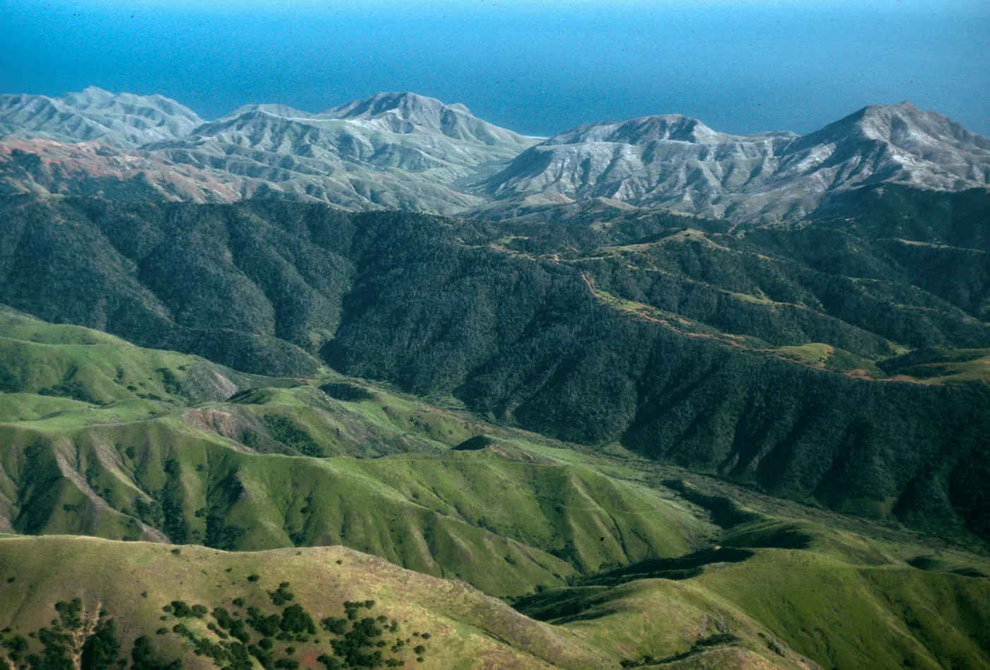 Santa Cruz Island, Christy Pines