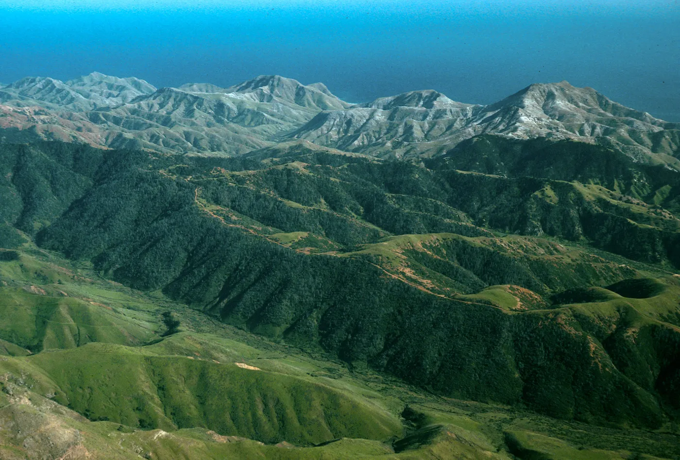 Santa Cruz Island, Christy Pines