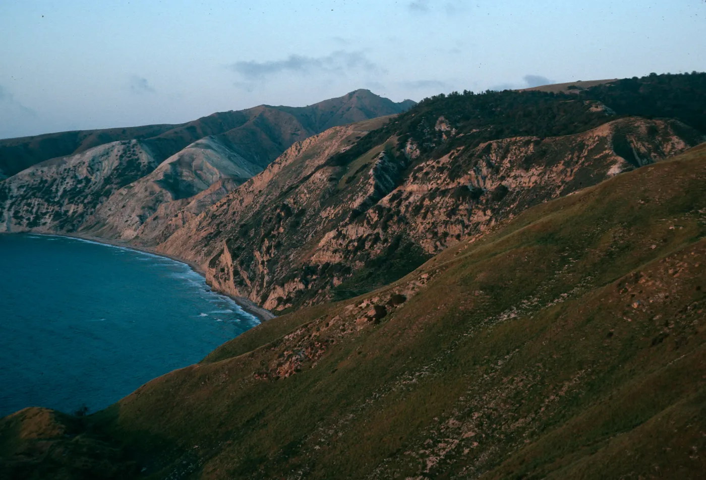 Santa Cruz Island, China Pines at dusk