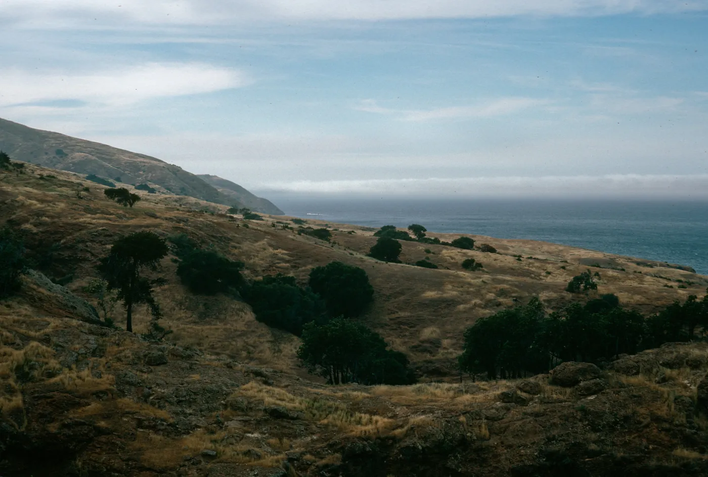Santa Cruz Island, West of Twin Canyon