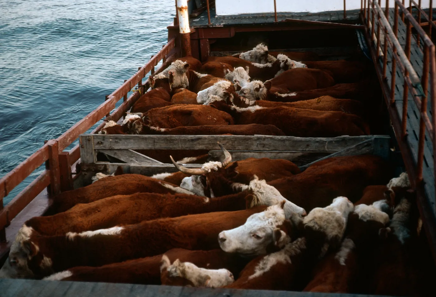 Santa Cruz Island, Vaquero 2
