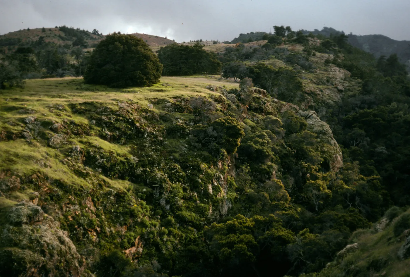 Santa Cruz Island, Pelican-Prisoners Trail