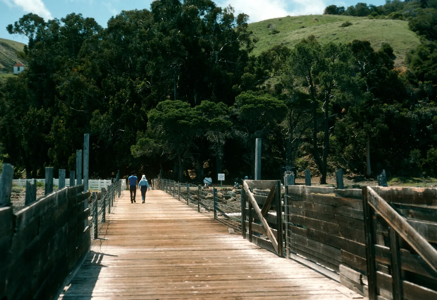 Santa Cruz Island, Prisoners Harbor, wharf