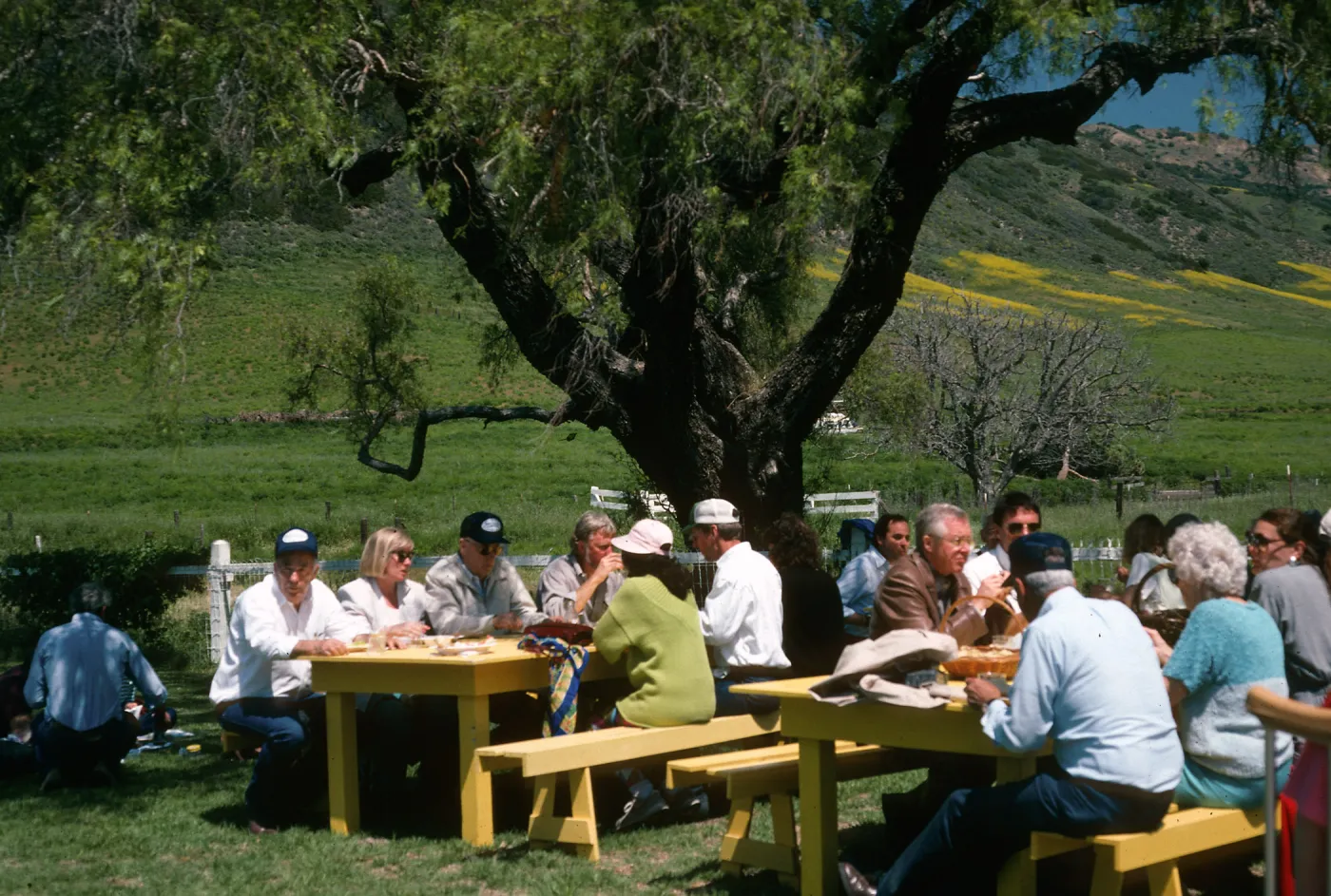 Santa Cruz Island, picnic at Stanton Ranch, 100th anniversary of chapel