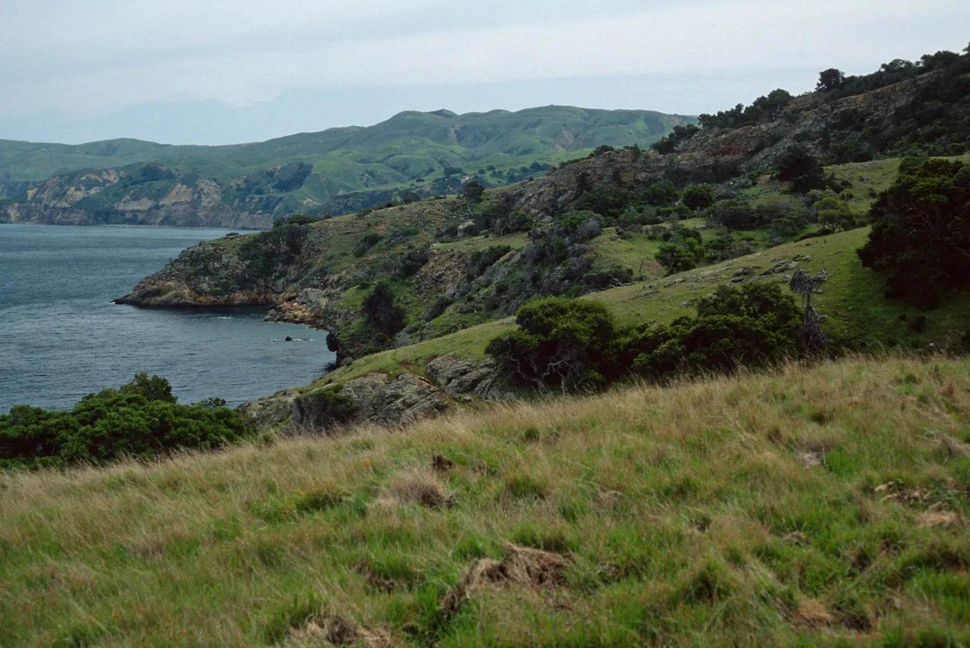 Pelican Bay-Prisoners Harbor Trail