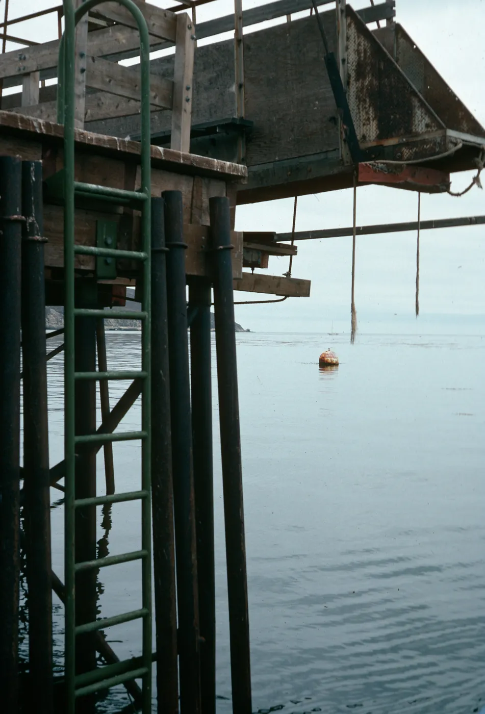 Santa Rosa Island, Vail Ranch, pier