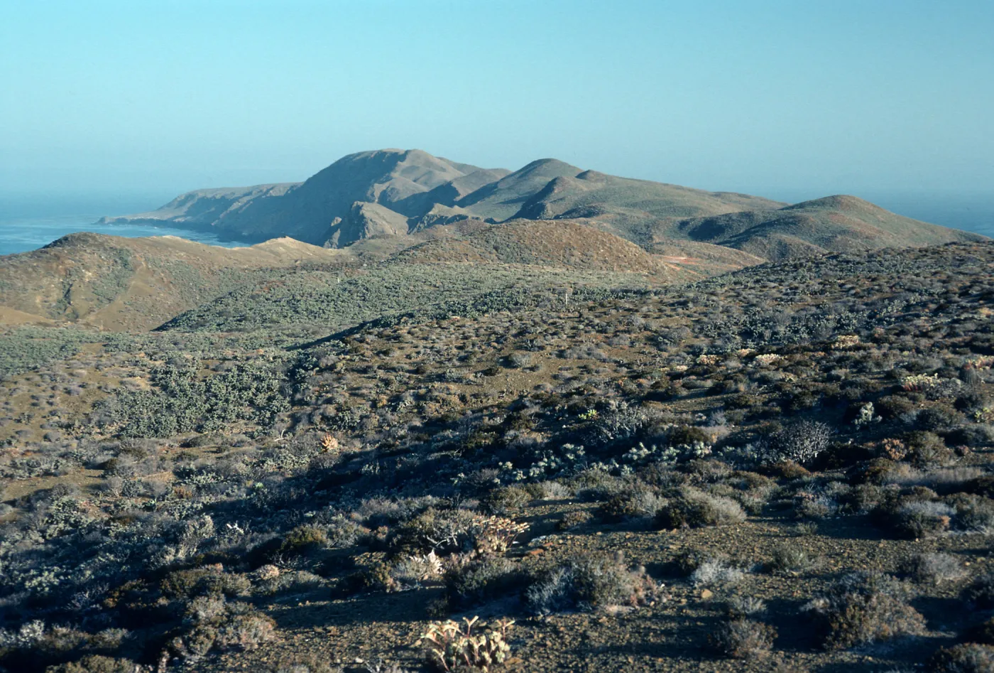 Natividad Island, looking North from highlands, North of lighthouse