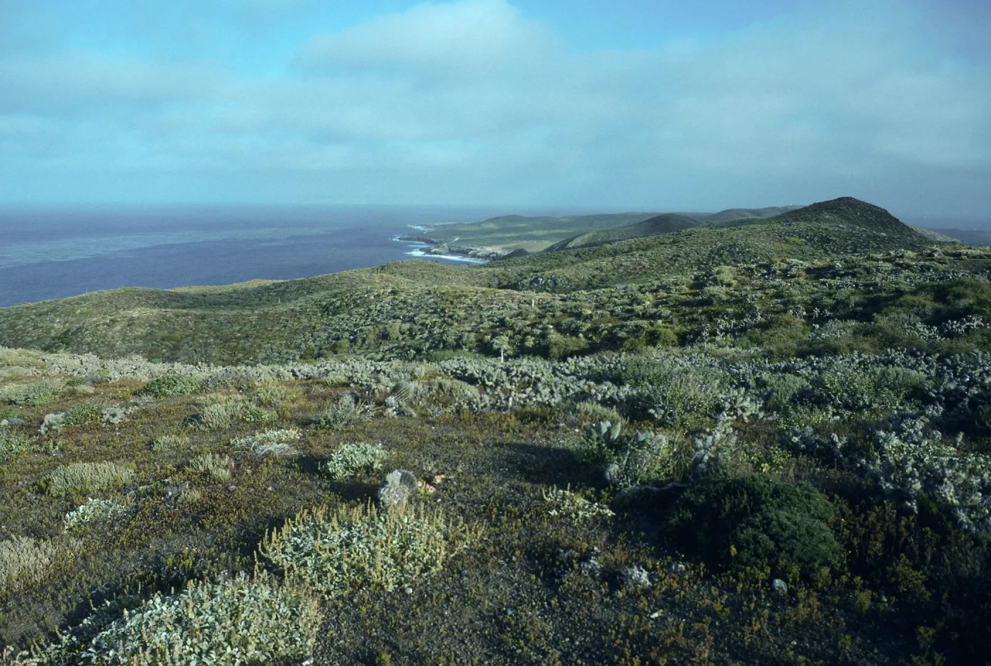 Natividad Island, view of South end, from North end of Ridge Road