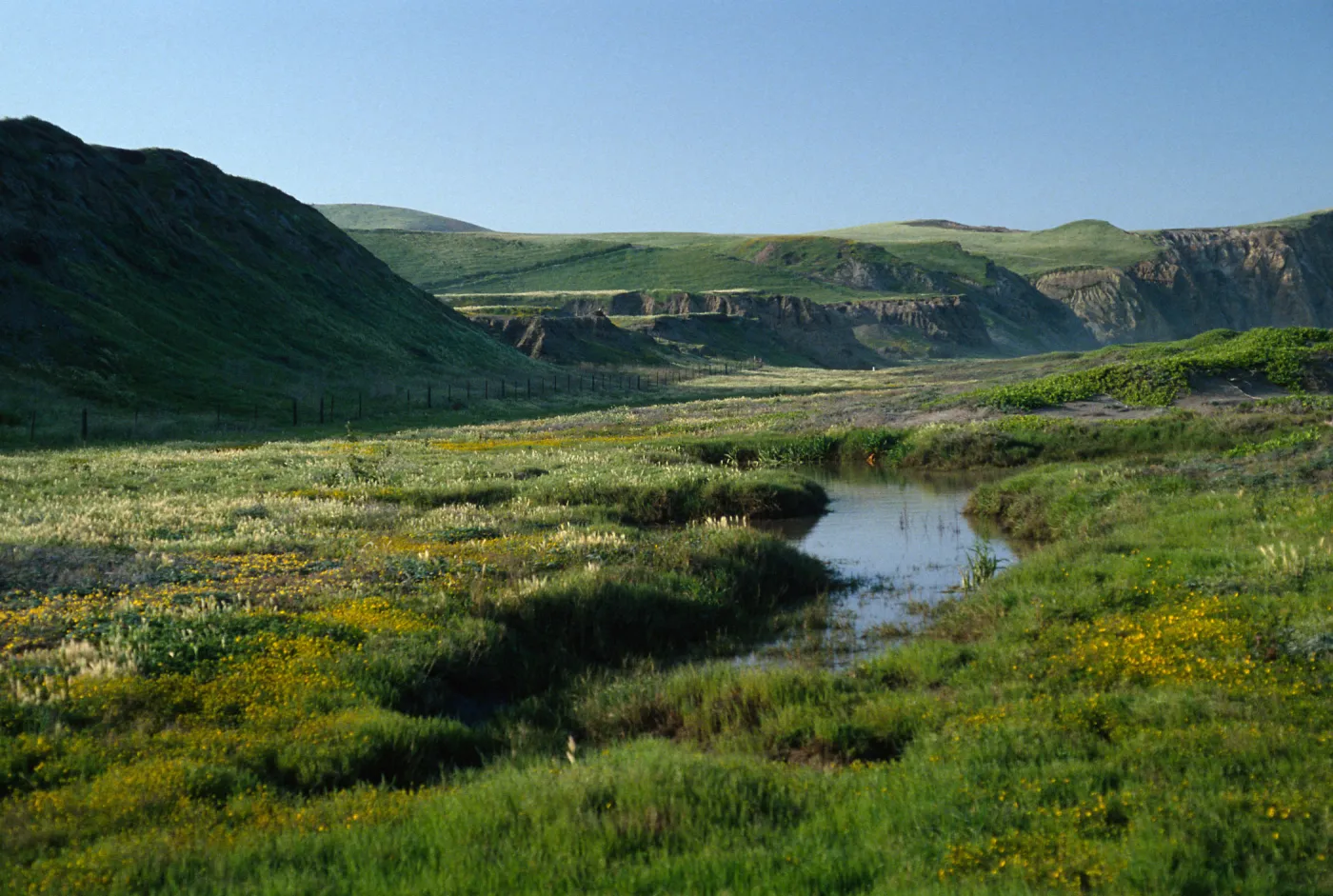 Santa Cruz Island, vernal pond, Christy Ranch