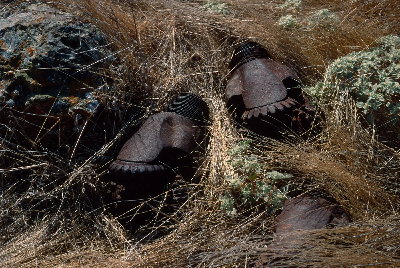 drilling heads, old oil well site, Santa Cruz Island, East side