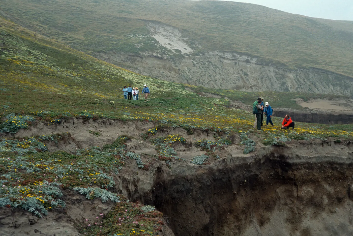 Santa Rosa Island, West side of Carrington Point
