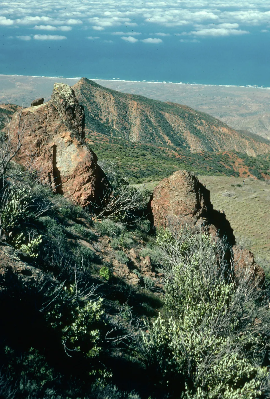 Cedros Island