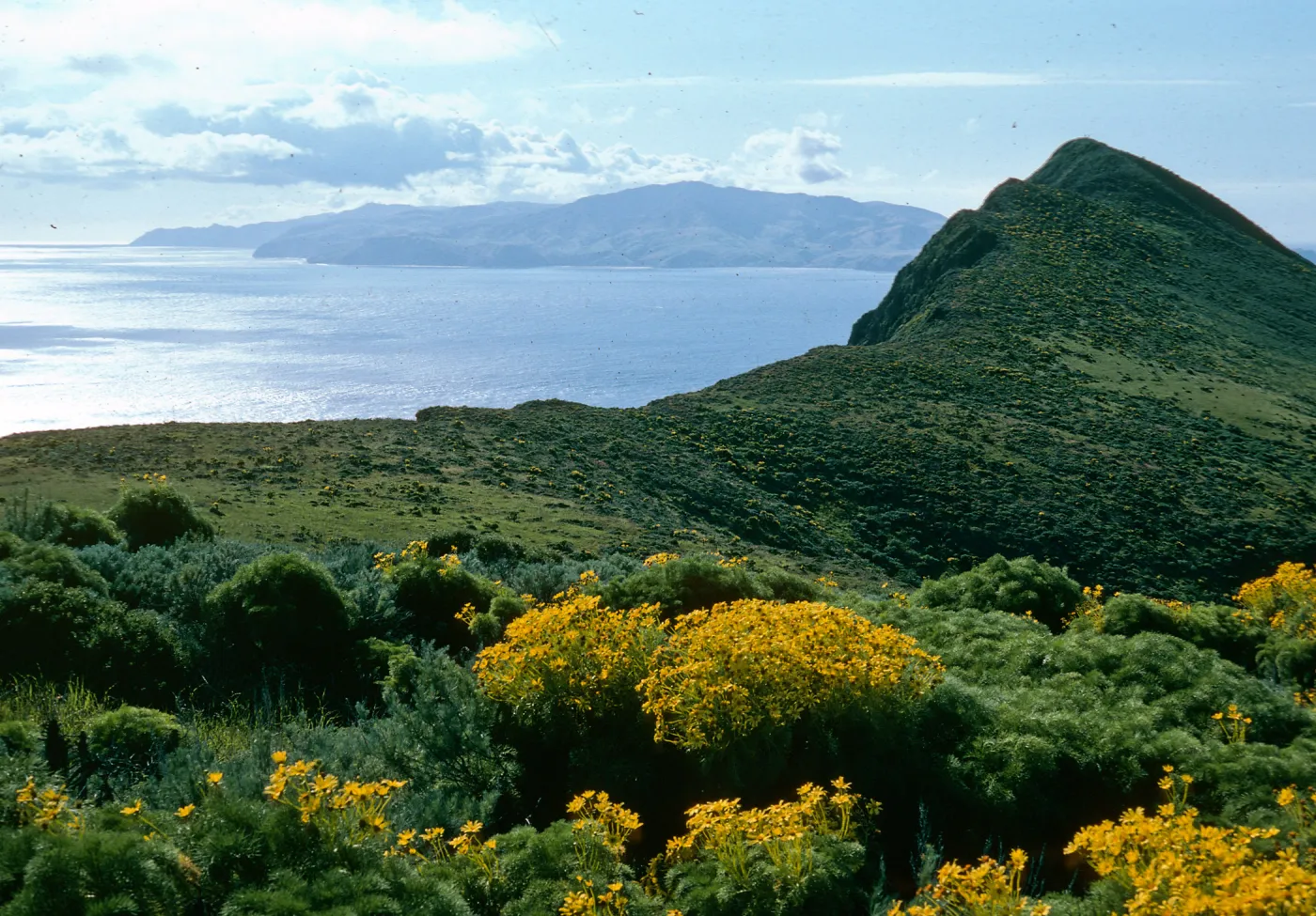 West Anacapa Island, view of Santa Cruz Island from saddle, between Summit & Camel Peaks
