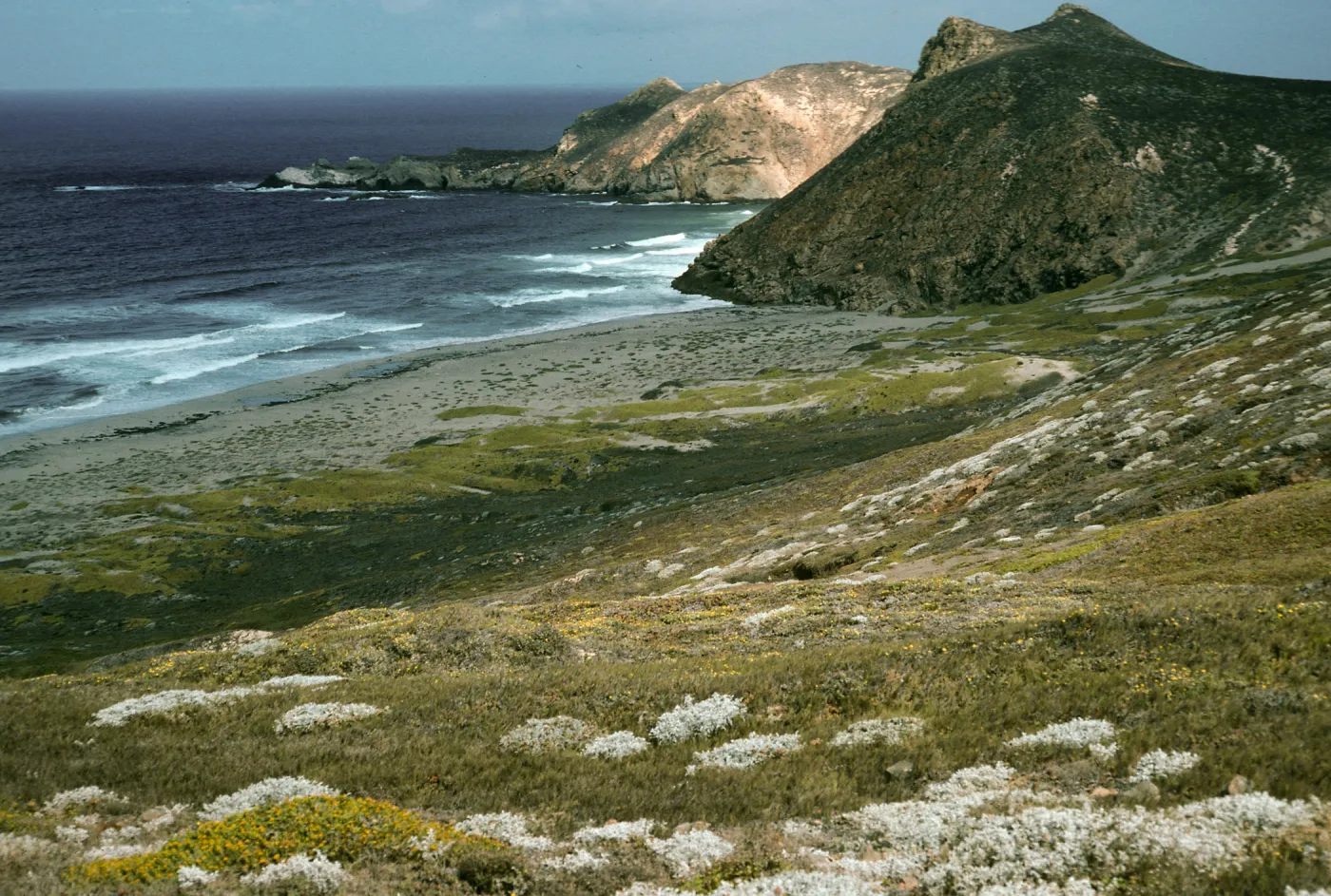 San Miguel Island, view of Harris Point & Lester Point