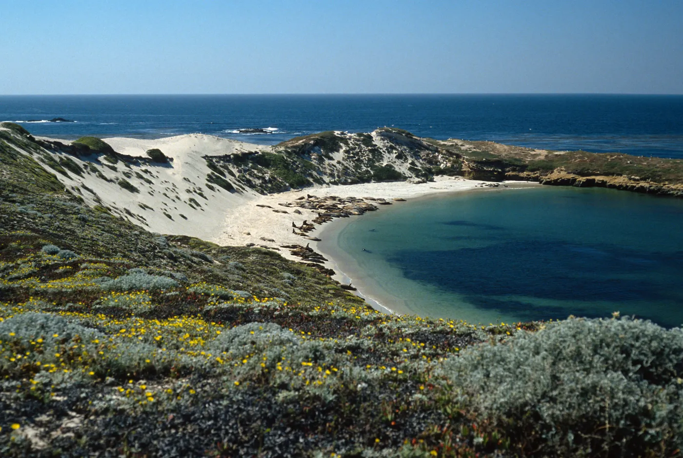 San Miguel Island, Otter Harbor