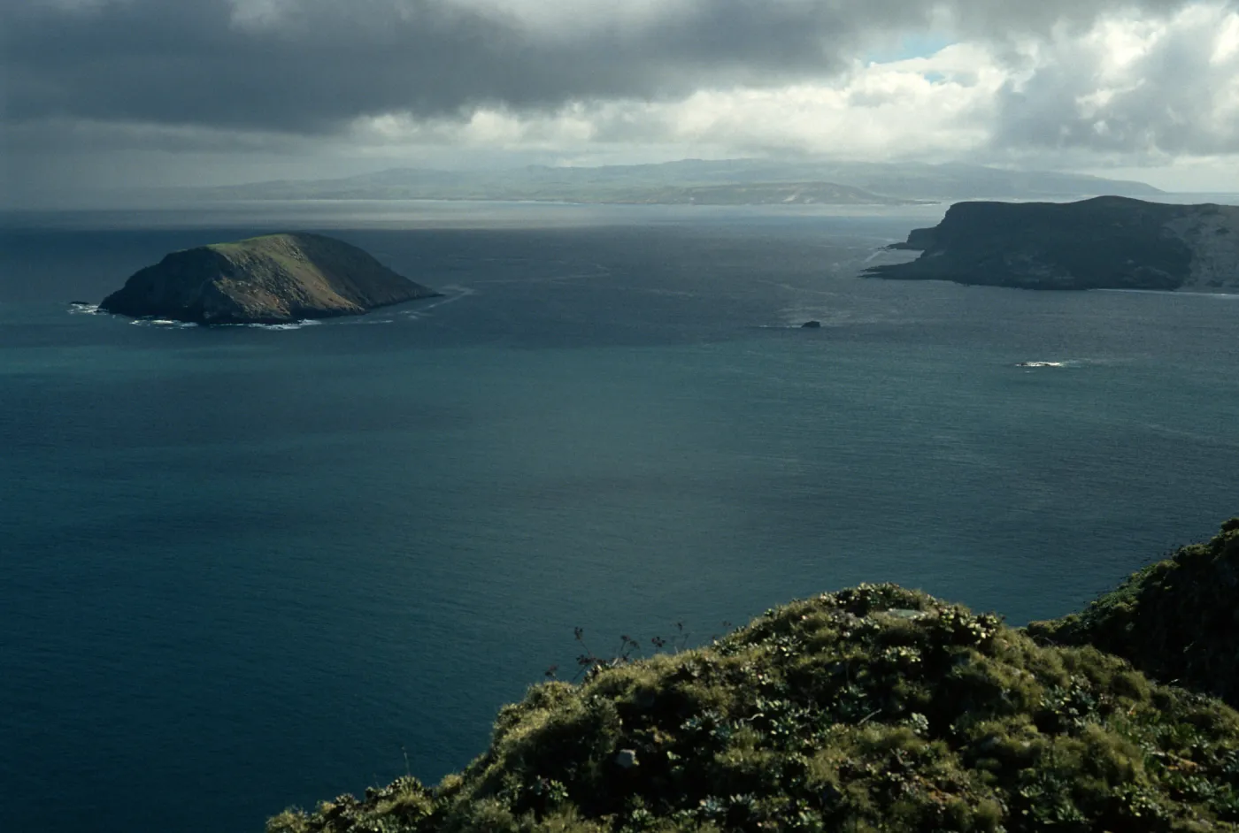 San Miguel Island, Prince Island, Cuylor Harbor from Devils Knoll