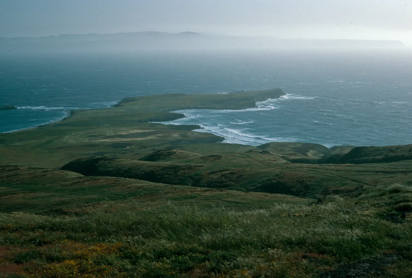 Santa Cruz Island, Fraser Point