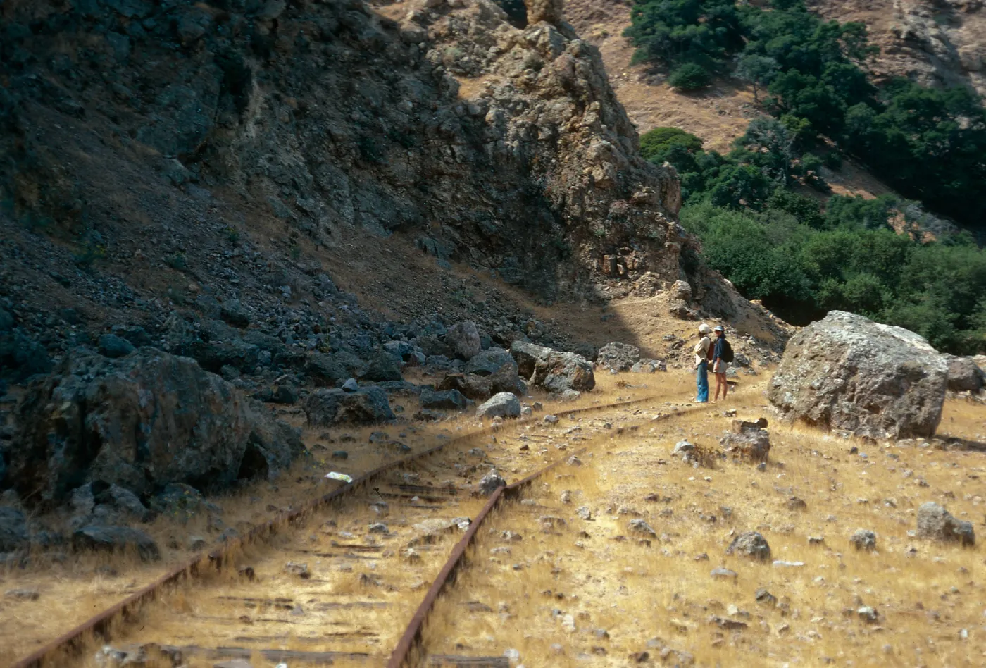 Santa Cruz Island, Frys Harbor, remains of railroad tracks