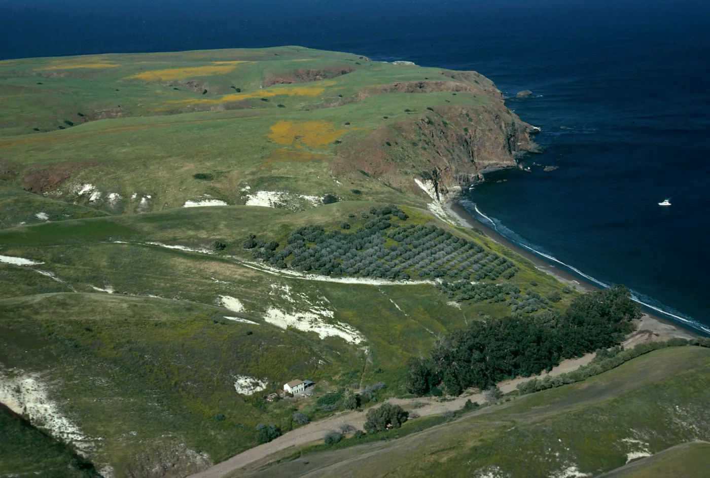 Santa Cruz Island, Smugglers Cove