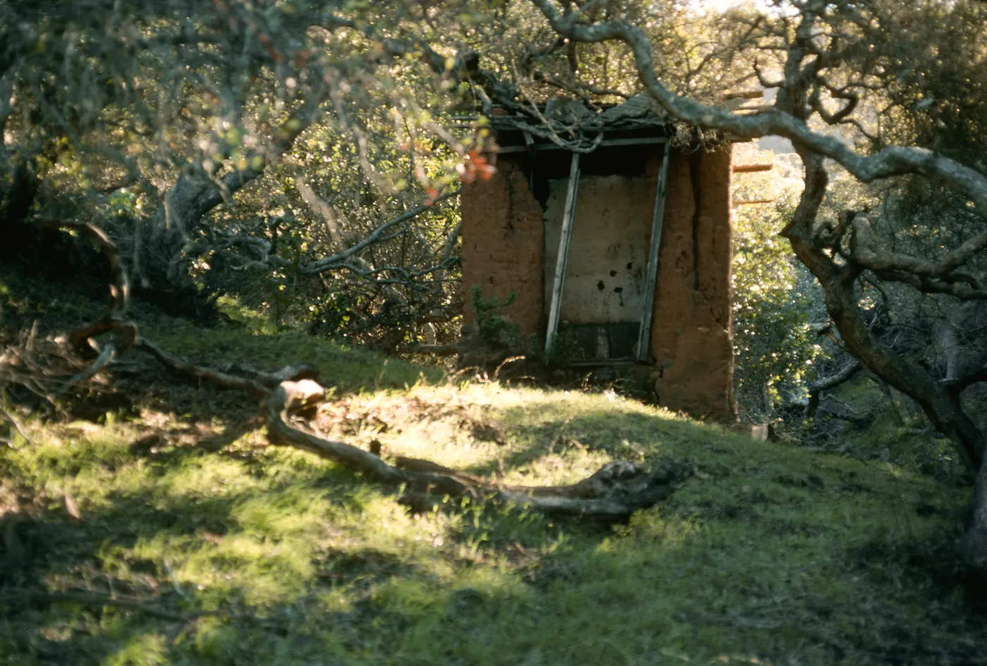 Santa Cruz Island, Middle Ranch, adobe outhouse, Cañada Del Medio