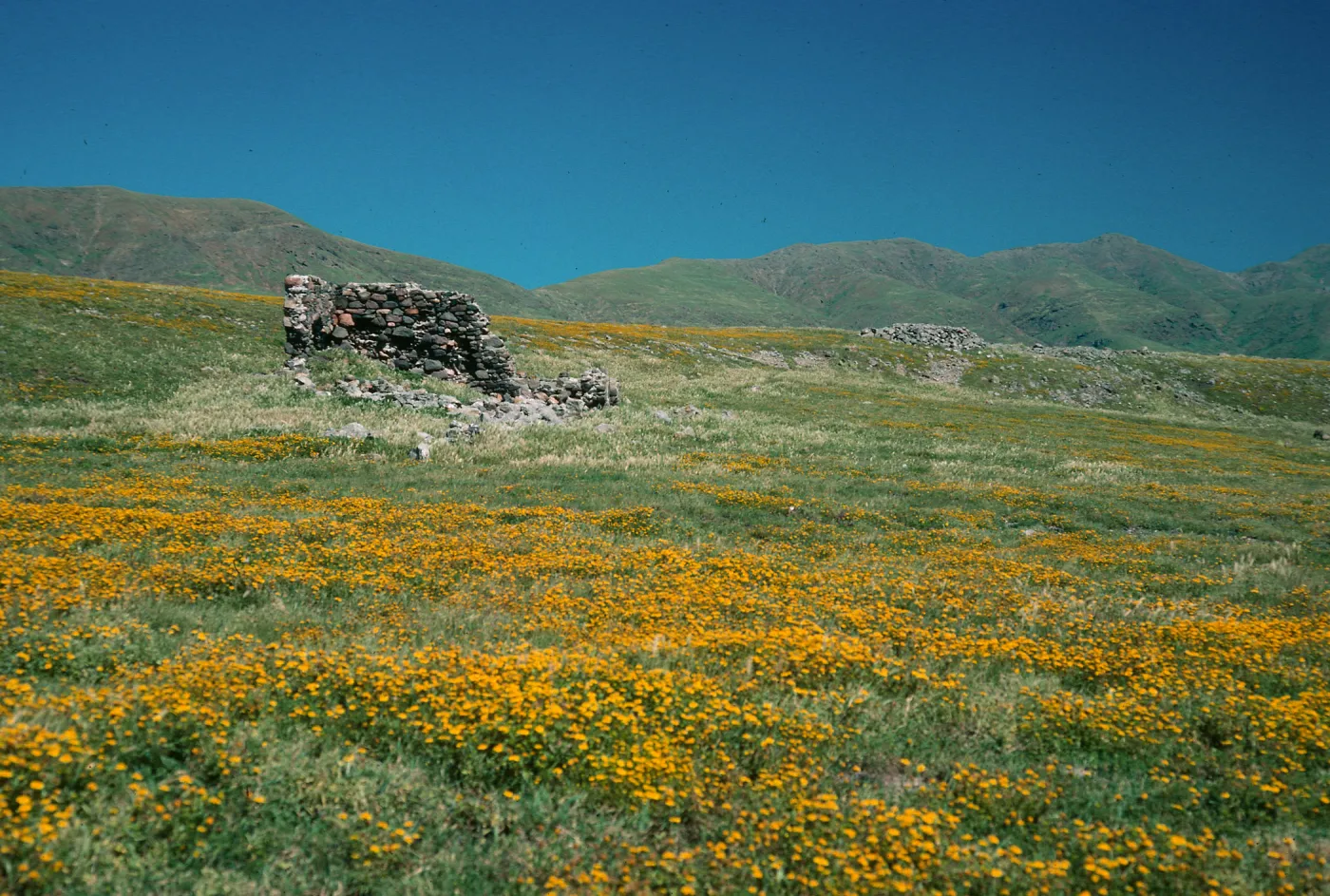 Santa Cruz Island, Campo Punta West, Fraser Point