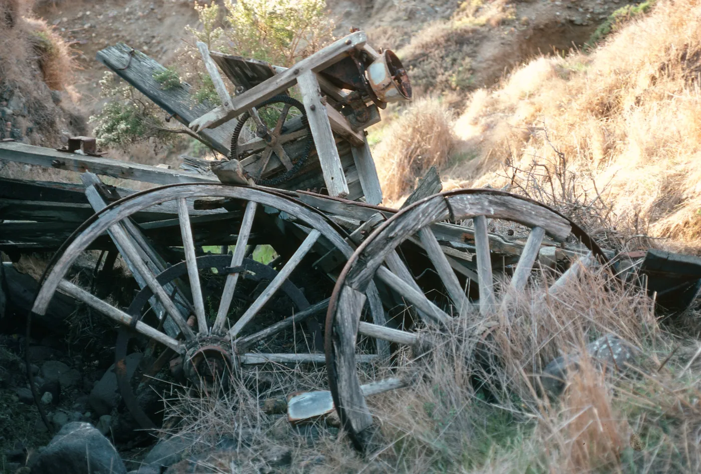 Santa Cruz Island, Wagon Gulch, near Christy Ranch