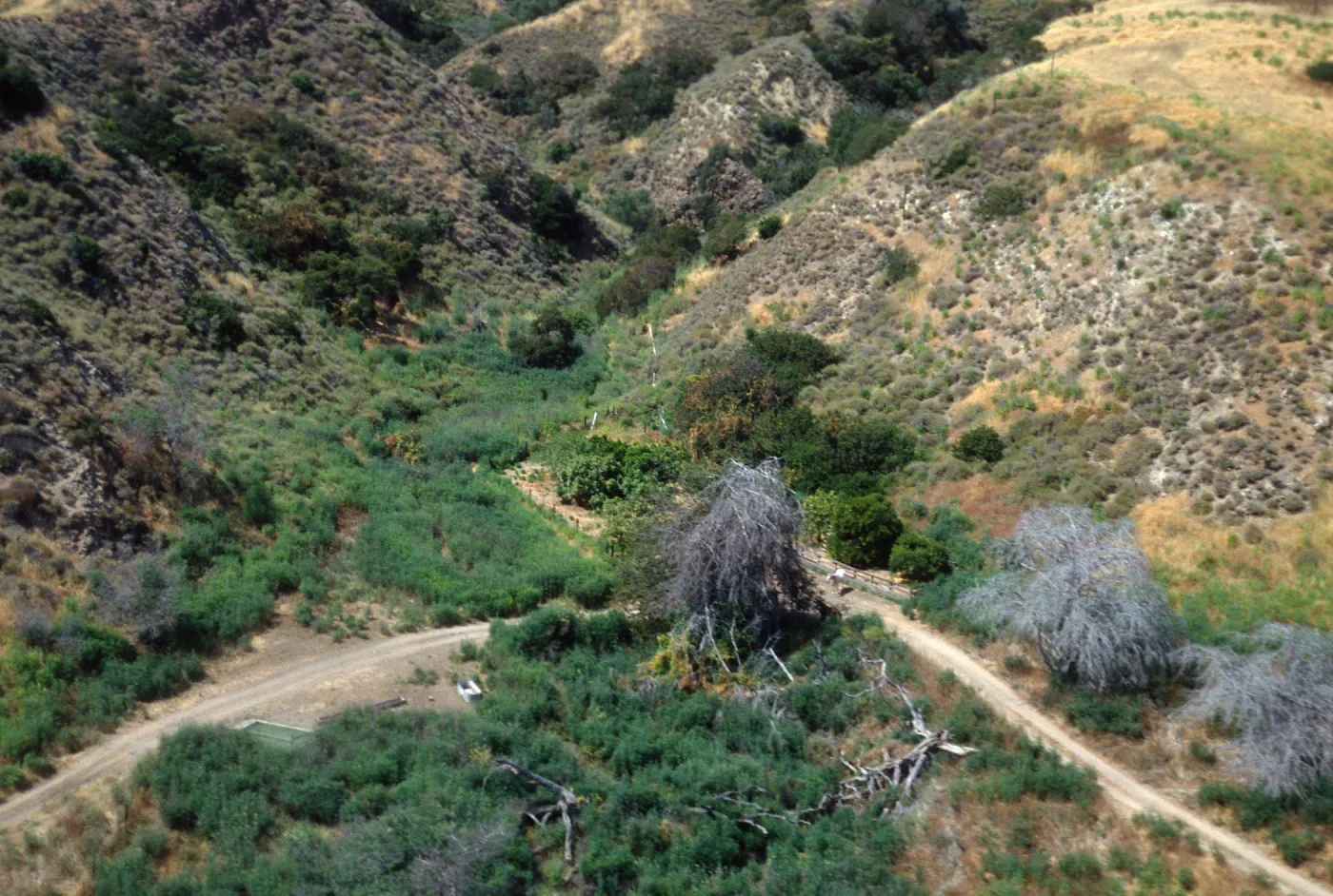 Santa Cruz Island, Rancho Del Sur