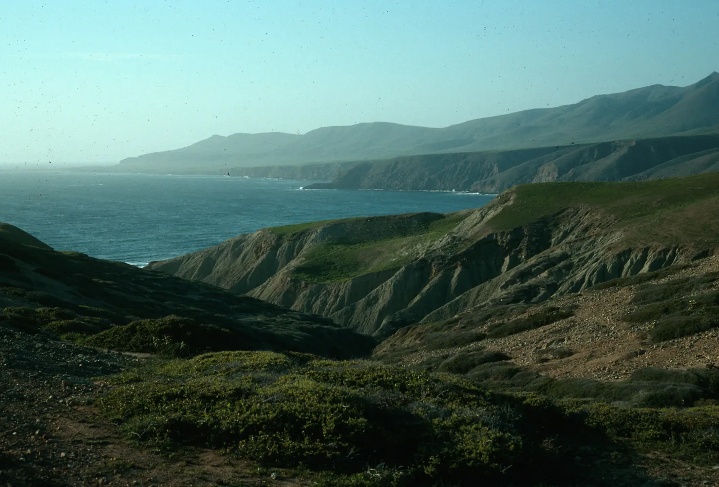 Santa Cruz Island, ridge, North of Sauces Canyon