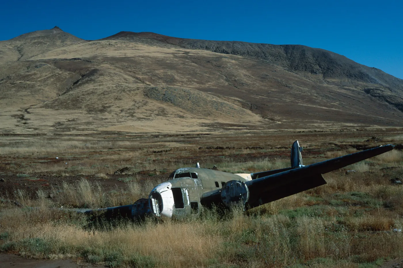 Guadalupe Island, plane wreck, West side of airstrip