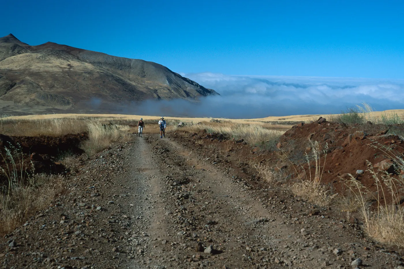 Guadalupe Island, road from airstrip to North end