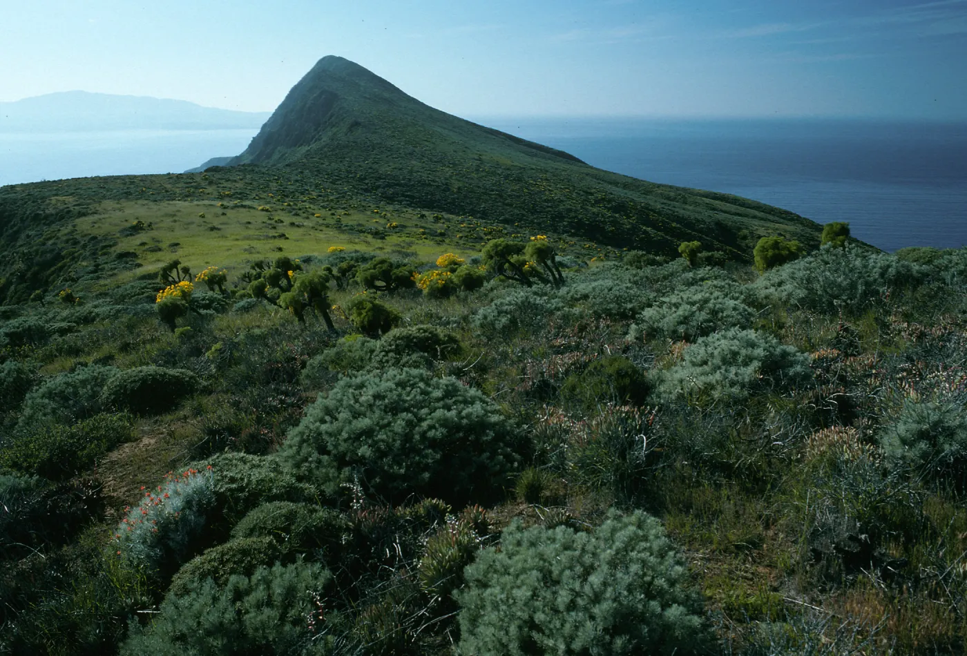 West Anacapa Island, Summit Peak from West flanks of Camel Peak