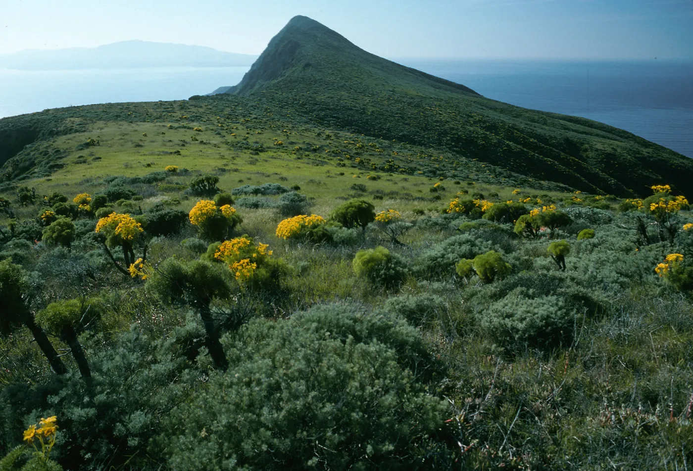 West Anacapa Island, Summit Peak from West flanks of Camel Peak