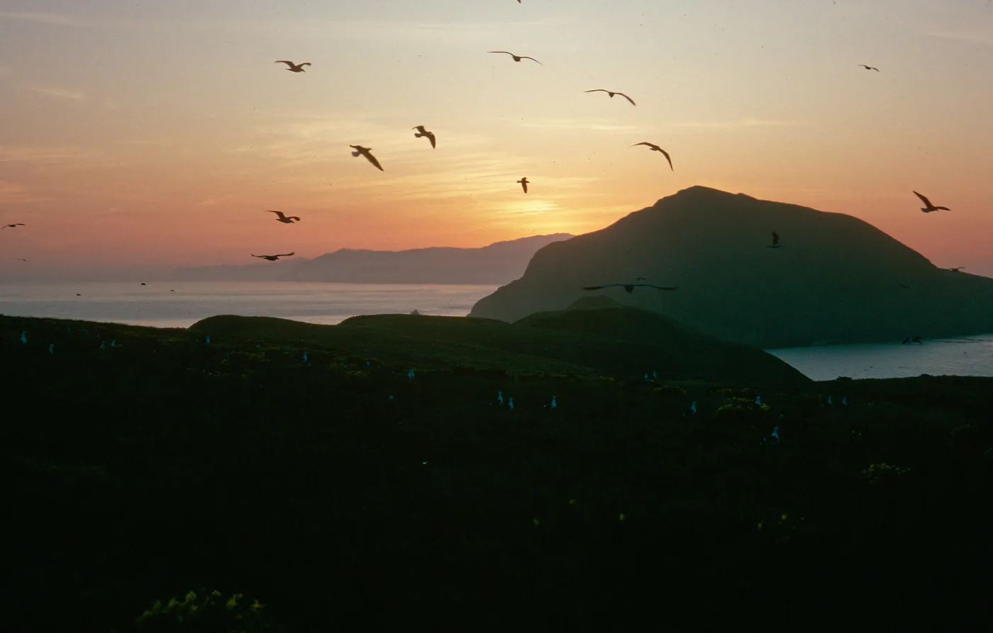Middla Anacapa Island, sunset over West Anacapa & Santa Cruz Islands