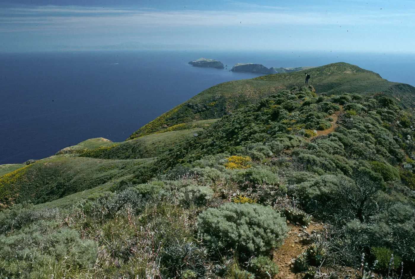 West Anacapa Island, looking west