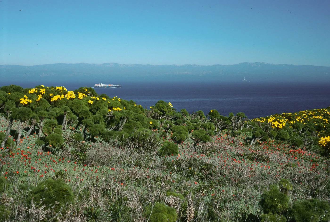 View of channel, East Anacapa Island