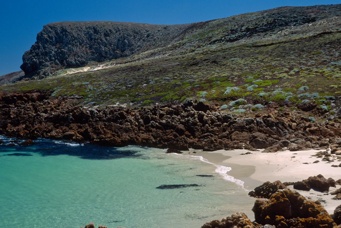 Cove just west of Hoffmann Point, San Miguel Island