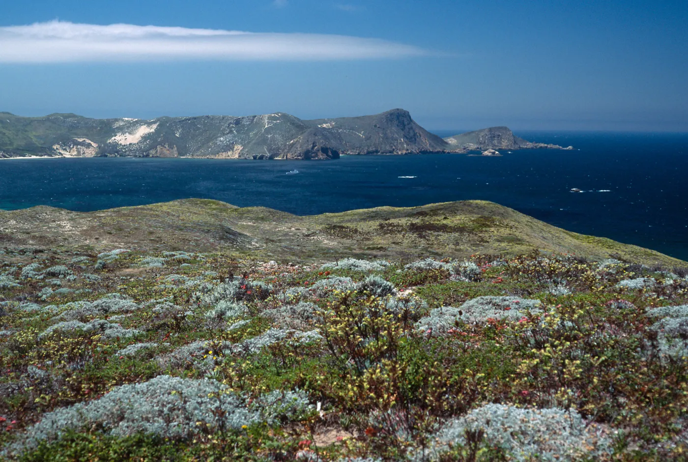 Looking west from West side of Hoffmann Point, San Miguel Island