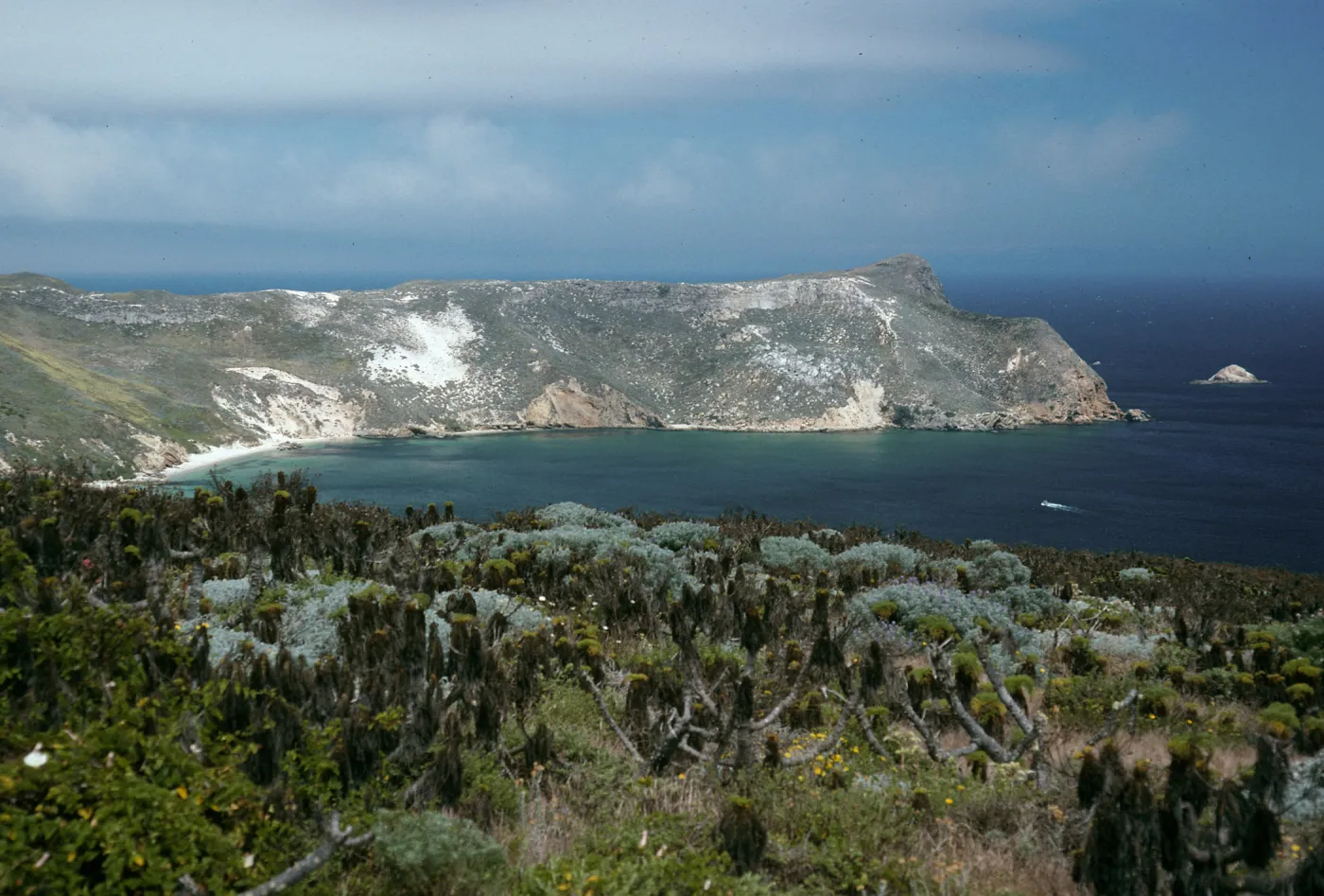 Cuyler Harbor, from Cabrillo Monument, San Miguel Island