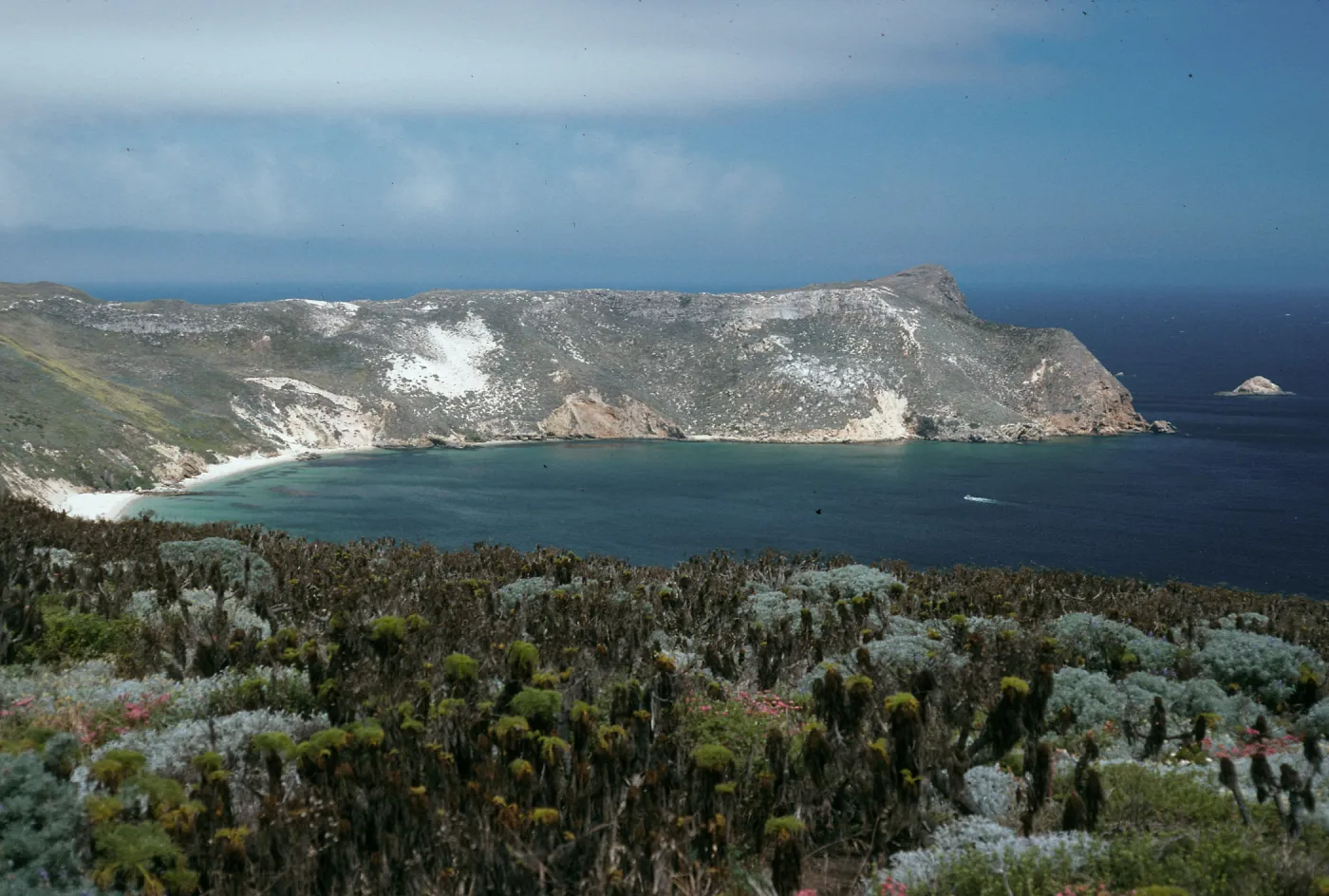 Cuyler Harbor, from Cabrillo Monument, San Miguel Island