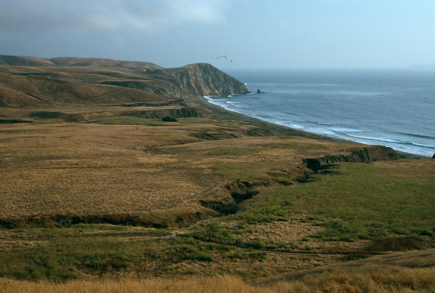 Christy Ranch, Santa Cruz Island