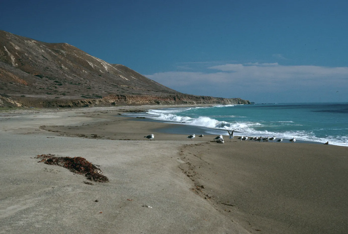 Pozo Beach, Santa Cruz Island