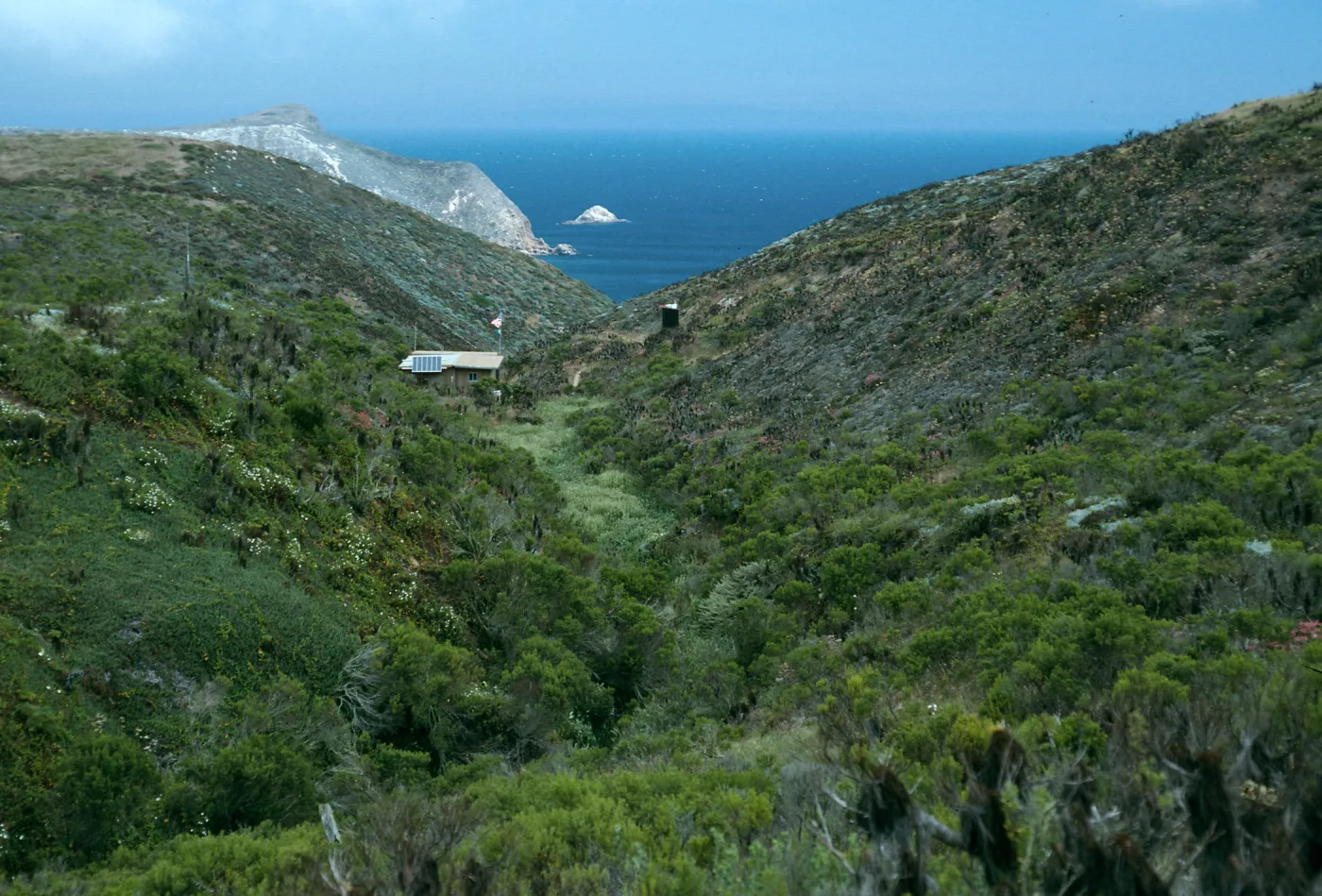 San Miguel Island, Canon del Mar