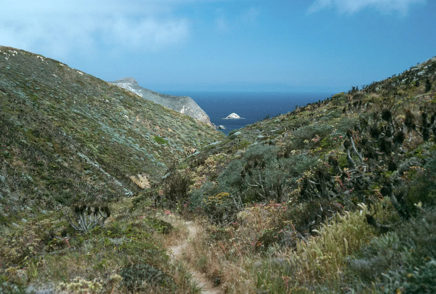 San Miguel Island, Canon del Mar